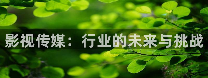 98超碰人人爱：影视传媒：行业的未来与挑战