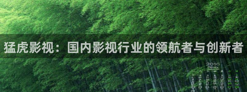 98影院手机版：猛虎影视：国内影视行业的领航者与创新者
