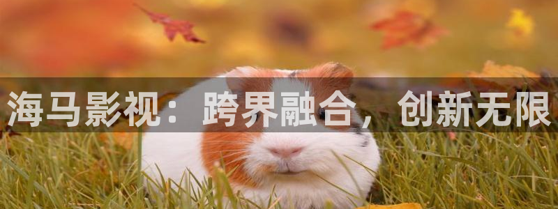 989影视：海马影视：跨界融合，创新无限
