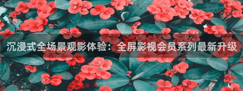 请回答1988全集免费观看高清：沉浸式全场景观影体验：全屏影视会员系列最新升级